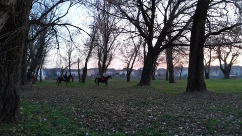 Horse riding Stock Footage 129571320