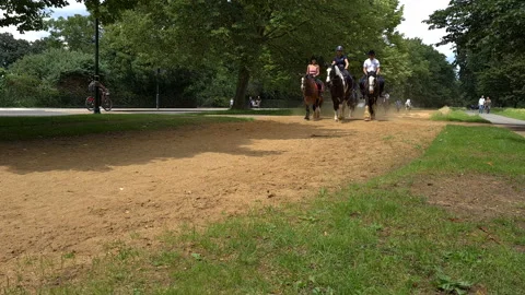 Horse riding. Stock Footage 157184208