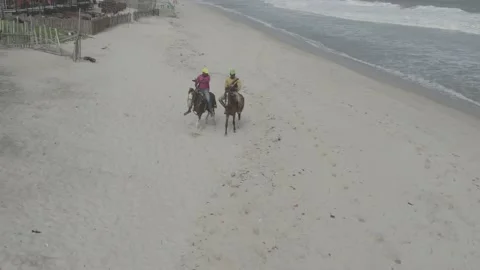 Horse riding 스톡 동영상 207735267