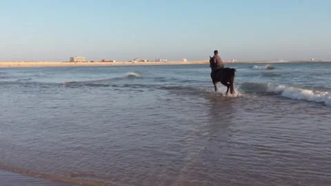 Horse riding  Stock Footage 246302817