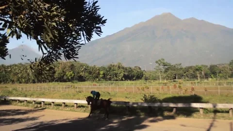 Horse riding Stock Footage 279781556
