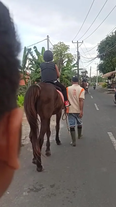 HORSE RIDING Stock Footage 288860253