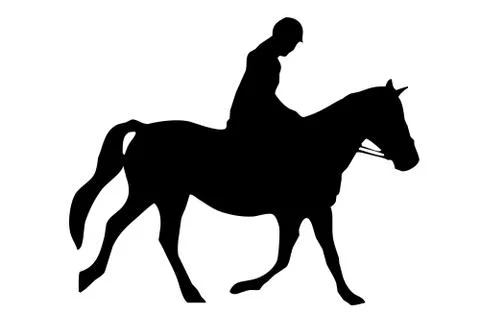 Horse Riding Stock Illustration