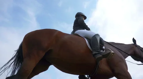 Horse riding lessons Stock Footage 41344274