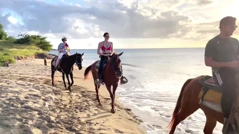 Horse Riding Nevis Stock Footage 258856446