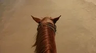 Horse Riding Pov Stock Footage