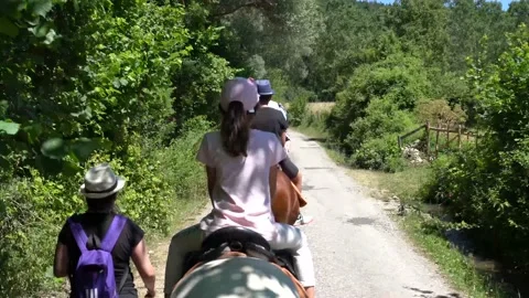 Horse riding in a raw Video stock 135354298
