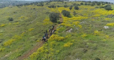Horse riding trip for group of tourists outdoor at the nature. Aerial top down Stock Footage 157698784