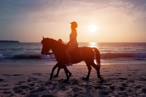 Horse ring on the beach with sunset Stock Photos