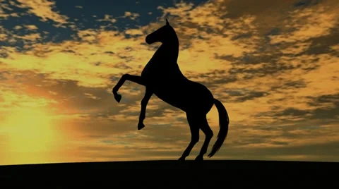 Horse Rise in Sunset 스톡 동영상 33993430
