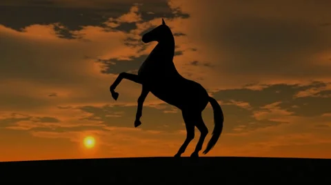 Horse Rise in Sunset Stock Footage 33993482
