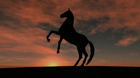 Horse Rise in Sunset Video stock 33993600