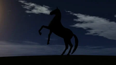 Horse Rise in Sunset Stock-Footage 33993863