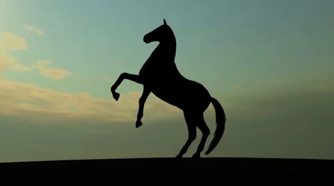 Horse Rise in Sunset Видео 33993932