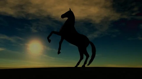 Horse Rise in Sunset Video stock 33994053