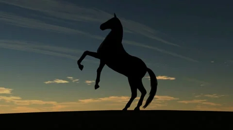 Horse Rise in Sunset 動画素材 33994590