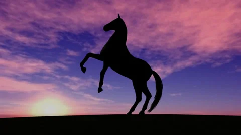 Horse Rise in Sunset 動画素材 33994627