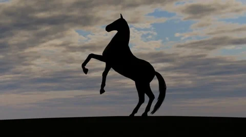 Horse Rise in Sunset 動画素材 33994918