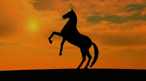 Horse Rise in Sunset Видео 33994998