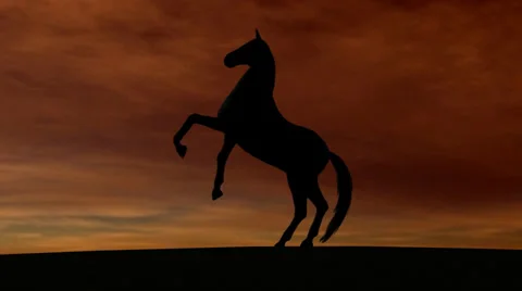 Horse Rise in Sunset 스톡 동영상 33994999