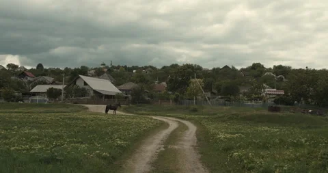Horse roaming. Landscape of a typical eastern european village. Stock Footage 131734216