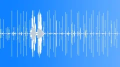 Horse Run Gravel Surface Sound Effect