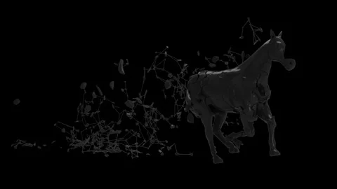 Horse runbreak1 Stock Footage 343870444