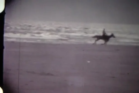 Horse Running On Beach Stock Footage 24671641