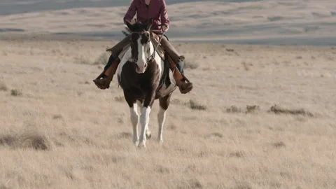 Horse running to camera in slow-motion Vídeos de archivo 200156683
