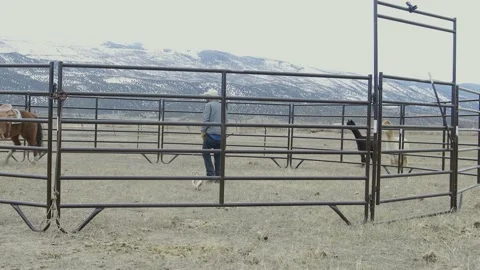 Horse running in corral Stock Footage 198945270