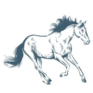 Horse running Stock Illustration