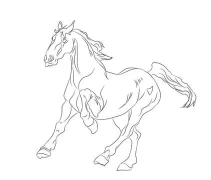 Horse running, lines, vector Illustrazione stock