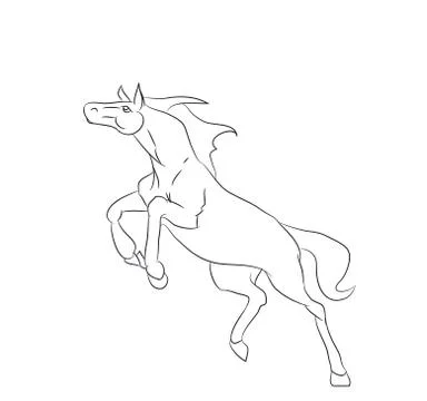 Horse running, lines, vector Stock Illustration
