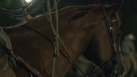 Horse running at night Stock Footage