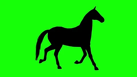 Horse running silhouette animation side view on vibrant green screen background Stock Footage 314563754
