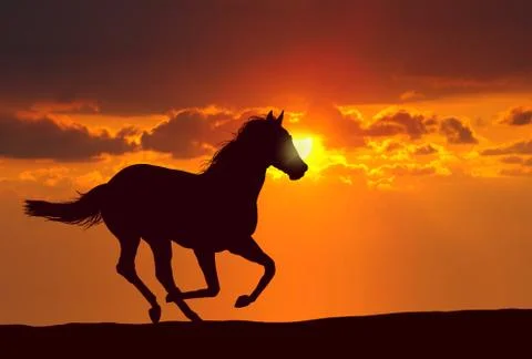 Horse running at sunset Illustrazione stock