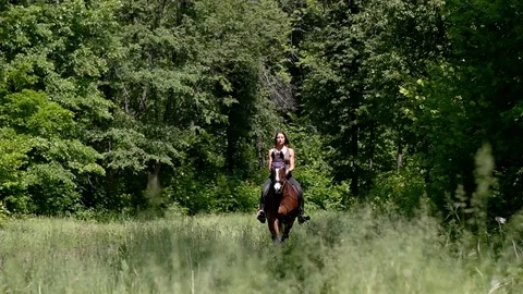 Horse runs galloping to the camera in the forest Stock Footage 78087439