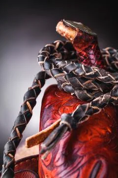 Horse saddle Stock Photos