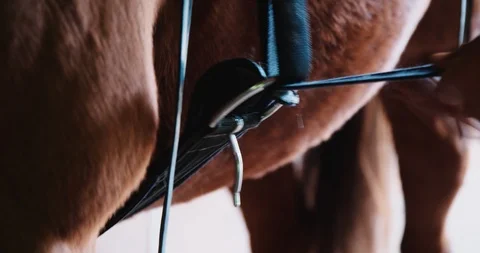 Horse saddle strap in barn Stock Footage 85864035