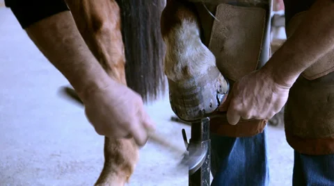 Horse shoeing 스톡 동영상 33522658