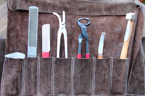Horse shoeing tools Stock Photos