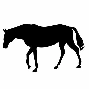 Horse Silhouette Vector Stock Illustration