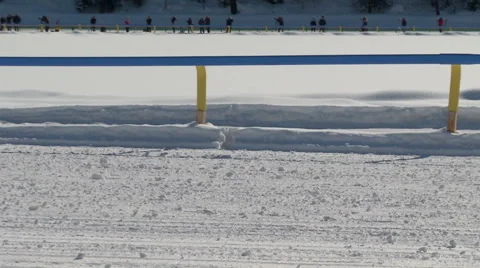 Horse skijoring slow motion Stock Footage 59146476