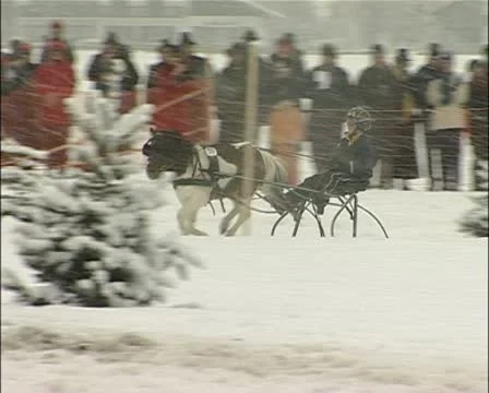 Horse sled race in the snow Stock-Footage 21703853