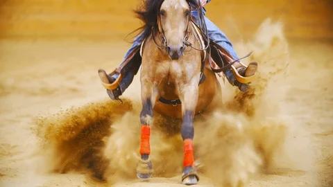 Horse sliding stop into the camera in slow motion 4K Stock Footage 90000732