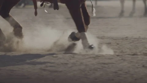 Horse sliding to stop Stock-Footage 210552400