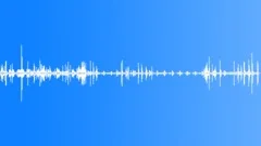 HORSE Sound Effect