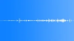 HORSESound Effect