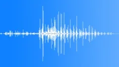 HORSE Sound Effect