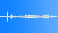 Horse Sound Effect